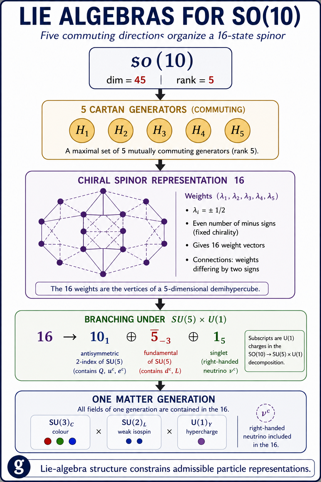 Lie Algebras for SO(10) infographic. The Lie algebra so(10) has dimension 45 and rank 5. Five mutually commuting Cartan generators H1 through H5 organize the weights of a 16-dimensional chiral spinor representation. The 16 branches under SU(5) times U(1) and contains one matter generation, including a right-handed neutrino.